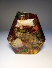 Vintage lucite seascape for sale  CHESTER