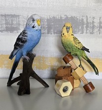 budgie boxes for sale  BINGLEY
