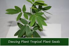 Tropical seeds dancing for sale  Willis