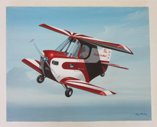 Raymond waddey acrylic for sale  Tallahassee