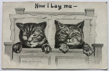 Edwardian era cat for sale  Pflugerville