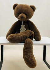 Histoire ours ours d'occasion  Craponne