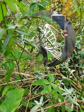Fairy reflective stainless for sale  UK
