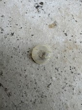 Bague plastique allumage d'occasion  Condom