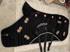 Lemieux conductive magno for sale  BARNARD CASTLE