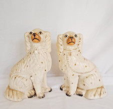 Seated spaniel dogs for sale  HUNTINGDON