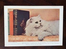 1938 vintage original for sale  Norman