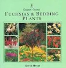 Fuchsias bedding plants for sale  UK