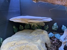 Floating imitation corner for sale  HULL