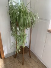 Bentwood wooden tall for sale  NORTH FERRIBY