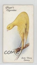 1933 player aviary d'occasion  Expédié en Belgium
