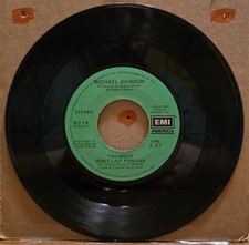 Michael Johnson - This Night Won’t Last Forever / I Just Can’t Say 45rpm Record comprar usado  Enviando para Brazil