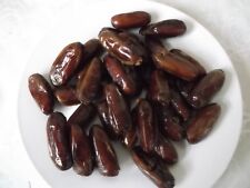 Date palm seeds for sale  LONDON