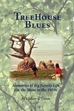 Treehouse blues memories for sale  USA