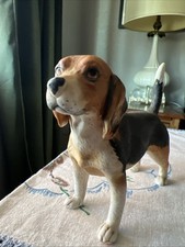 beagle male for sale beagle male for sale Lewiston