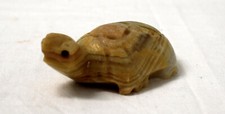 Echtstein schildkröte mexico gebraucht kaufen  Mittenwald