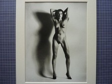 Helmut newton erotische gebraucht kaufen  Rodenbach