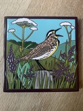Beautiful meadowlark decorativ for sale  Monroe