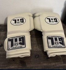 Luvas de boxe Gil 14 oz comprar usado  Enviando para Brazil