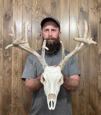 Weathered freak 18pt for sale  Port Matilda