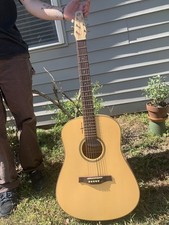 electric guitar seagull for sale  Murrells Inlet