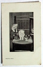 Postcard four kittens for sale  MILTON KEYNES