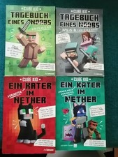 Tagebuch eines noobs gebraucht kaufen  Bietigheim-Bissingen