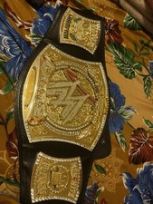 Wwe heavyweight championship for sale  Staten Island