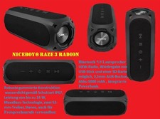 Niceboy raze radion gebraucht kaufen  Reichelsheim (Odenwald)