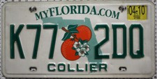 Florida nummernschild usa gebraucht kaufen  Euskirchen