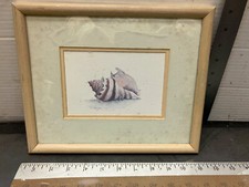 Sea shell print for sale  Commack