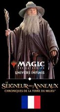 Unco terrains magic d'occasion  Avrillé