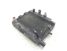 Radiatore acqua liquido usato  Viareggio