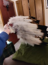 Old vintage native for sale  Leslie