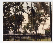aviary for sale aviary for sale New Orleans