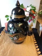 Japanese oriental ginger for sale  BALLYMENA
