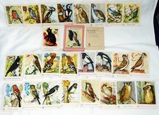 Altes quartettspiel vogelhochz gebraucht kaufen  Löbau