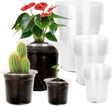Anzuchttöpfe anzuchttopf blum gebraucht kaufen  Westerburg