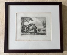 Horses antique 1811 for sale  CAMBRIDGE