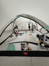 Palestrina neonato usato  Italia