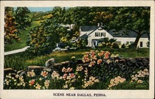 Scene near dallas d'occasion  Expédié en Belgium