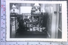 Usado, Brinquedos para berço infantil sala de estar crianças crianças animais de pelúcia foto BW instantânea comprar usado  Enviando para Brazil
