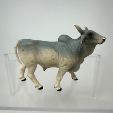 Grey brahma bull for sale  Broomfield