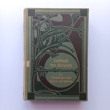 1906 lehrbuch botanik gebraucht kaufen  Berlin