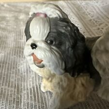 Enesco purebred pet for sale  Phoenix