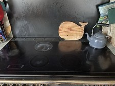 Rangemaster 110cm electric for sale  WORCESTER