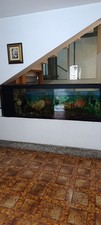 Acquario 500 usato  Salerno