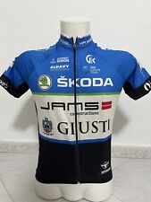 Maglia ciclismo collezione usato  Casalnuovo Di Napoli