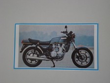Ritaglio giornale 1981 usato  Salerno