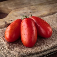 Italian tomato san for sale  WOODBRIDGE